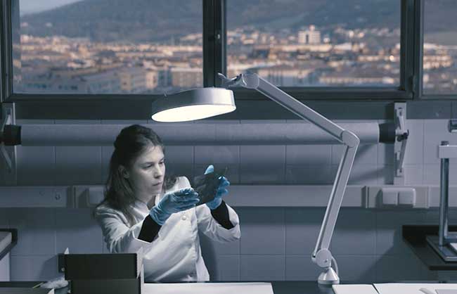 Archivo Real y General de Navarra